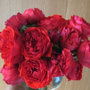 Manora(Манора)