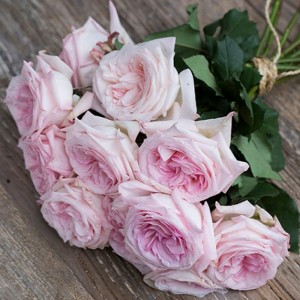 Pink O'Hara(Пінк Охара)