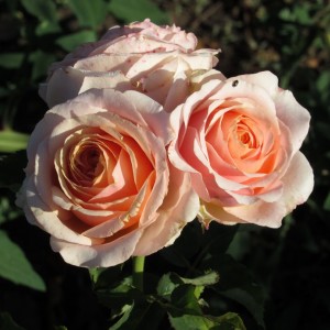 Quincy Jones (Квінсі Джонс)