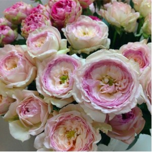 Май Бьюті My Вeauty