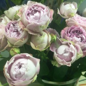 Blossom Bubbles / Блосом Баблз