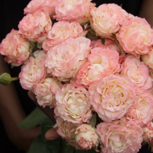 Charming Flow (Чармінг флоу)