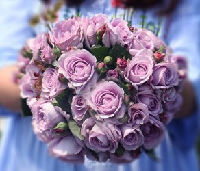 'Голубий Шторм' (Blue Storm)