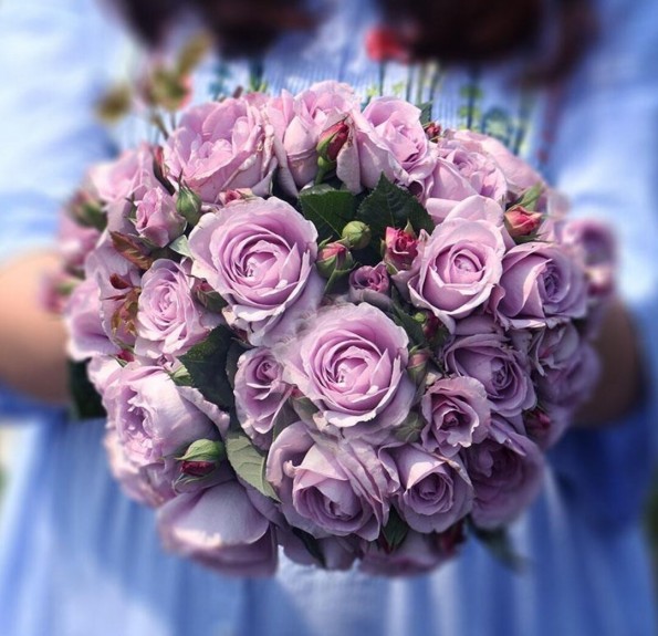 'Голубий Шторм' (Blue Storm)