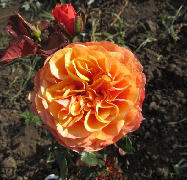 South Park (Саут Парк)