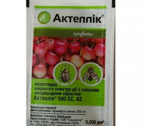 Актеллік