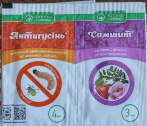 Антигусінь і Самшит 