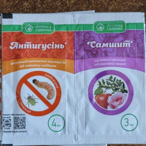 Антигусінь і Самшит