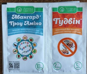 Авангард Троу Аміно та Тудвін 