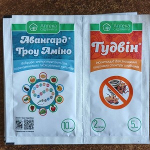 Авангард Троу Аміно та Тудвін