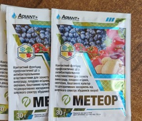 Метеор